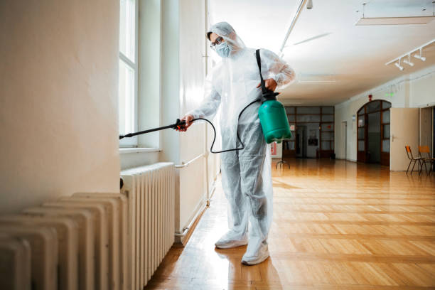 Best Fumigation Services  in Big Pine, CA